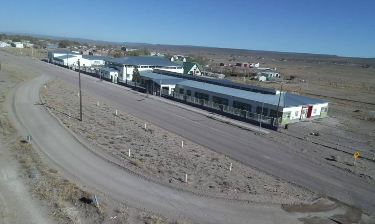 Estudiantes en el campo